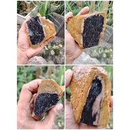 fossil nibong isi ad kursani di bahgian hitam.RARE ITEM