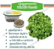 เมล็ดผักสลัด เคลือบ 1000 เมล็ด(Enza-Rijk Zwaan)