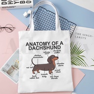 Anatomy Life Is Better With A Dachshund Funny Handbags Shoulder Bags Casual Shopping Girls Handbag W