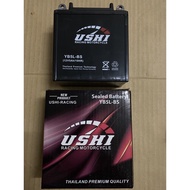 RANDOM BRAND SEALED BATTERY YB5L-BS/yb5l battery kering