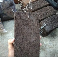 Media akar pakis papan lempeng 15×20 anggrek besar sedang