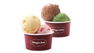 Haagen-Dazs™ | HKD50 Gift Voucher, Take-away Ice Cream Dessert, Macaron Ice Cream Drinks