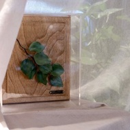 秘魯銀幣display box