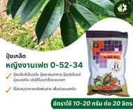 0-52-34 หญิงงามเฟต (ขนาด 1 กิโลกรัม) ตราหญิงงาม ปุ๋ยเกล็ดสะสมอาหาร สร้างตาดอก ยับยั้งการสร้างตาใบ กด