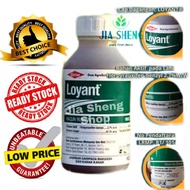 DOW Loyant 500ml Racun Rumpai Herbicides Popular loyant畅销除草剂~ Ready Stock