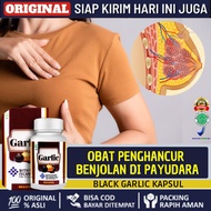 Obat Penghancur Benjolan di Payudara Sebelah Kiri/Kanan Kanker Stadium Awal 1 2 3 4 Herbal Tumor Jin