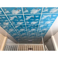Waterproof plastic ceiling 60cm x 60cm for customers in the province cannot be delivered. Only deliv