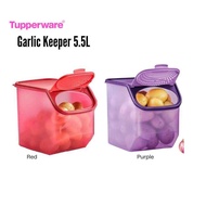 Tupperware Garlic N All Keeper 5.5L Bekas Bawang Kentang