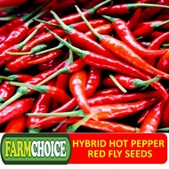 HYBRID HOT PEPPER RED FLY (40 SEEDS)