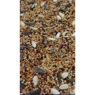 AFRICAN MIX, BIRD  SEED, LOVE BIRD