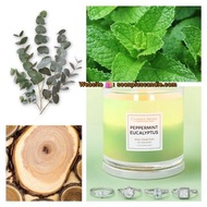 ✨美國 Charmed Aroma - Peppermint Eucalyptus ✨戒子香薰蠟燭 340g ( 介子尺吋: 10 )
