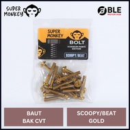 Supermonkey CVT Block Bolts CVT Tank/s BEAT Scoopy Gold/s | Ble Motor Hub