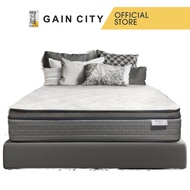 Sealy Posturepedic Mattress Synergy - Q