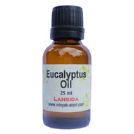 Eucalyptus Essential Oil Minyak Atsiri Eukaliptus Globulus