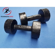 6kg solid cast iron dumbbell