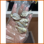 ♣ ═ ✾ Small Sapsap dried fish from Bicol 100 grams