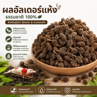 Natural Alder Cones 1 Release Tannin For Dwarf Shrimp Red Bee Beta Fish Aquarium Terrarium