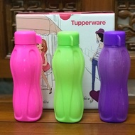 Tupperware eco bottle 310ml