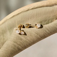 2pcs/Set European & American Style 8A Zirconia Gold Tone Screw Back Pearl Earring, Dainty Nose Bone 