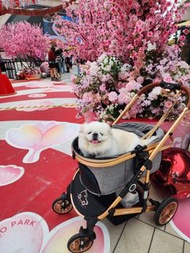 全新狗狗手推車