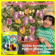 Sweet and Juicy Pepino Melon Seeds 人参果种子 - 35 Seeds Fresh Rare Ginseng Fruit Seeds for Planting Bons