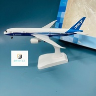 Boeing 787 Dreamliner Display Model 1:400 Scale Airplane Body Stand Molded with Wheels