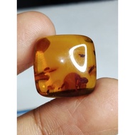 Amber Memonatural 16 x 16 x 6 mm 7 Ct Russia Cushion Cabochon Orange NTD YGL 1905