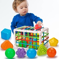 Montessori Toys for 1 Year Old, Shape Sorter 6 baby Ball Toy & 6 Sensory Shape Building Toy, Infant