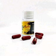 Kada Mesir Kadal Arab Obat Kuat Pria Tahan Lama - TOKO CAP DJENGGOT