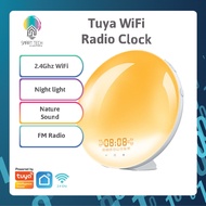 🇸🇬 SMART TECH® Tuya WiFi Radio Clock with Night light , Nature sound, Radio FM function and 1 USB out for mobile charge