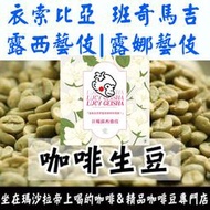 新產季 生豆 衣索比亞 班奇馬吉 露西藝伎 日曬 水洗G1／露娜藝伎 日曬 -世界咖啡生豆 咖啡生豆 咖啡豆 生豆 咖啡
