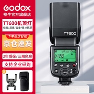 YQ Shenniu（Godox）TT600 Top flashlight Universal（Except Sony）High-Speed Hot Shoe Studio Lighting Equipment Portrait Weddi