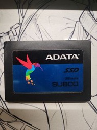 ADATA-SSD SU800