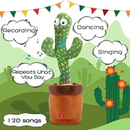 Dancing Cactus Plush Toy  Music Cactus Toy Childhood Education