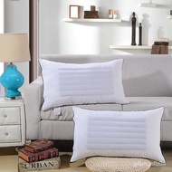 Cotton Hotel Buckwheat Pillows Factory Wholesale Pillow Household Buckwheat Dual-Use Pillow Core Gift Promotion Pillow I