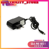 Adapter 12V1A World Chip