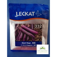 (+-10GM)Benih terong panjang besar seedling Leckat F1Hybrid 332 Giant Naga 巨龍茄子