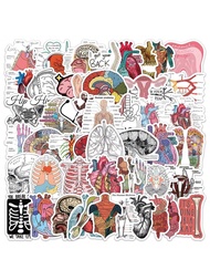 50 miếng dán họa tiết giải phẫu cơ quan hoạt hình, sáng tạo về xây dựng cơ quan người, sinh học y kh
