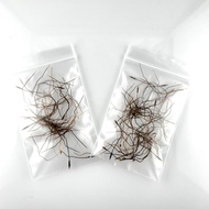 GRED AAA 100% ORIGINAL ASLI SEMULAJADI ALAMI AKAR/BULU/PERINDU/CENUAI/MISAI ADAM/BULU MAGIC/SANJEEVI