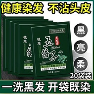 [20 Bags] Bubble Hair Dye Black Hair Dye Cream Individually Packaged Pure Natural Plant Ingredients 