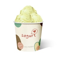 [LOCAL] Sogurt Froyo Ice Cream Avo-Melaka Pint (473ml) - Made with Coconut Oil, Contains Probiotics &amp; Prebiotics, Halal