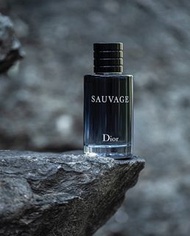 Dior迪奧Sauvage曠野之心男士淡香水