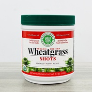 Organic Wheat Grass Juice Powder 150gr - Wheatgrass shots - Green Foods