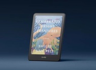 Amazon 7吋 Kindle Colorsoft (2025) 1st Generation Wi-Fi (16GB)
