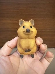 短尾矮袋鼠 教主公仔