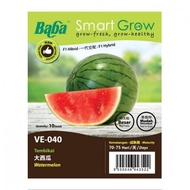 Baba VE-040 F1 Watermelon (10 SEEDS) Biji Benih Tembikai F1 Hybrid Buah Besar