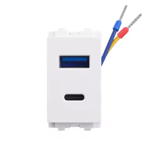 COSWALL AC 100-240V 128 Type Type-C &A Dual USB Charger 36.3*23mm Size Wall Socket DC 5V,2A Max. Mod