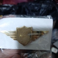 Brick ppi pin