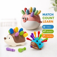 Spike Hedgehog Sorting Toy Montessori Color Counting Sensory Mainan Bayi Toddler Edukasi
