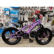 20" xeccon MTB bicycle with sport rim disk brake basikal single speed 20-63